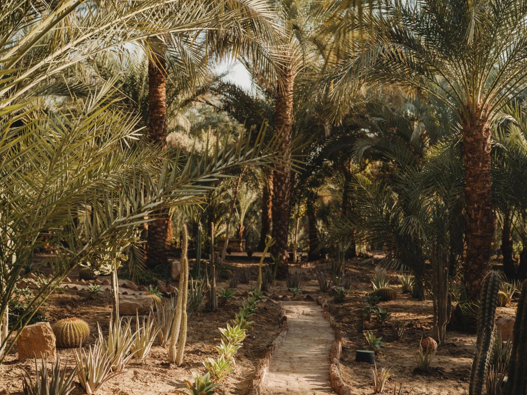فندق المديرة الأقصر المظهر الخارجي الصورة